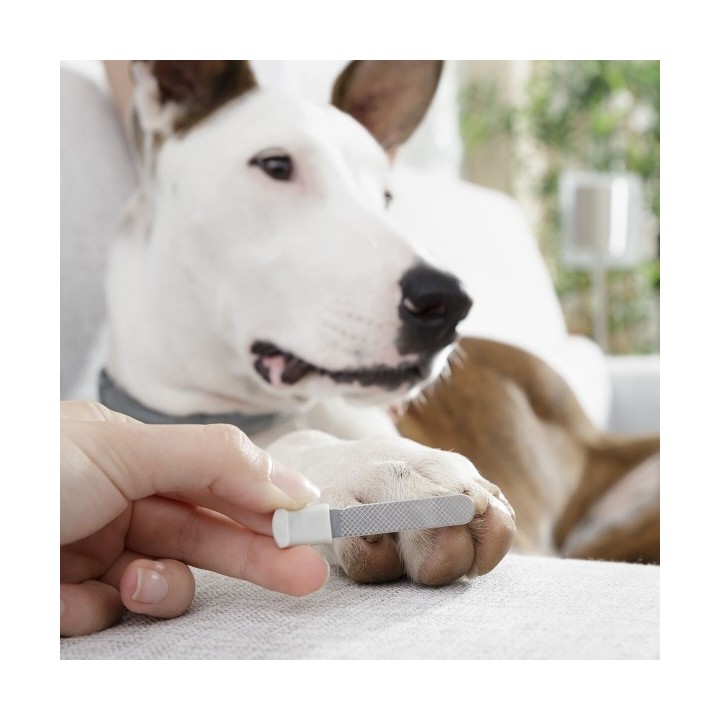 Coupe griffes avec LED pour Animaux de Compagnie Clipet InnovaGoods
