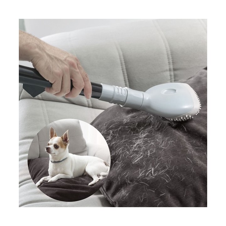 Brosse pour Aspirateur Smoovah InnovaGoods