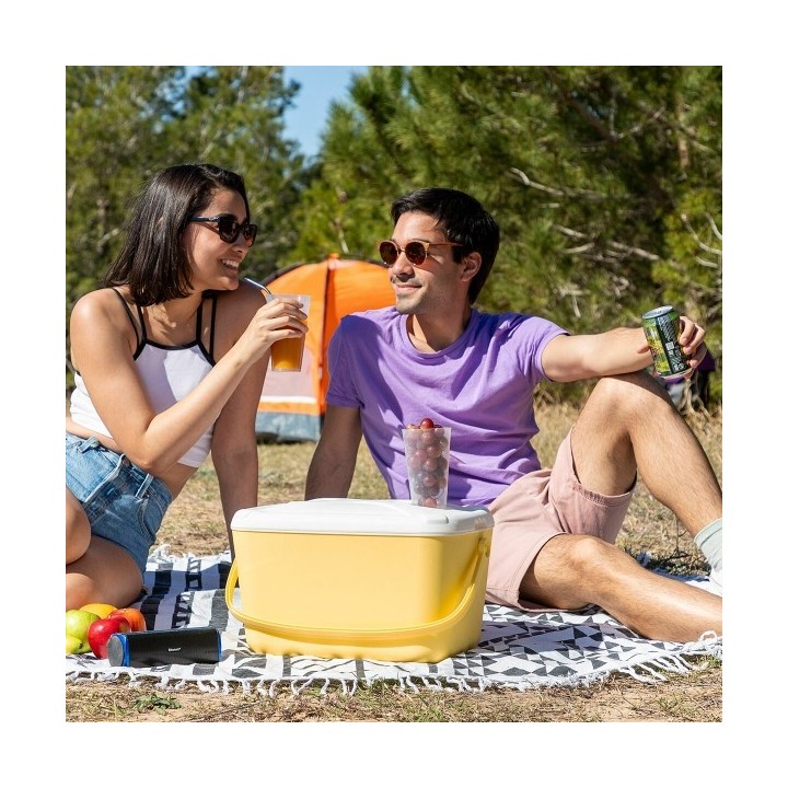 Glacière Rigide Portable Lilty InnovaGoods 15 L