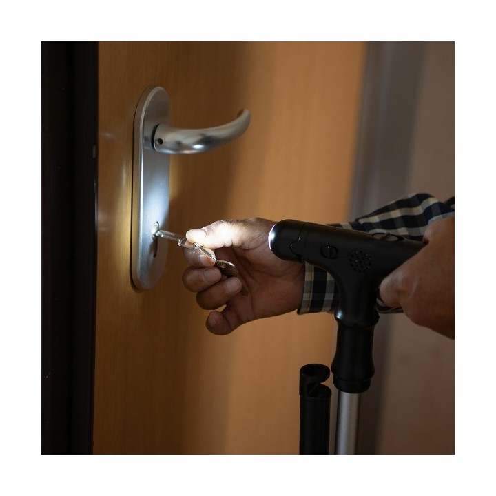 Canne Extensible avec LED, Alarme et Poignée Mécanique Hannde InnovaGoods