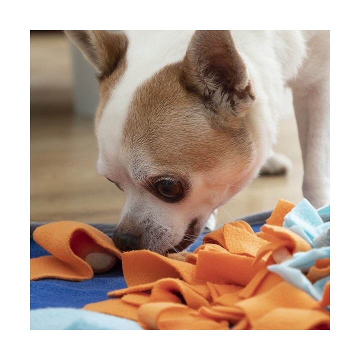 Tapis Olfactif pour Animaux de Compagnie Fooland InnovaGoods