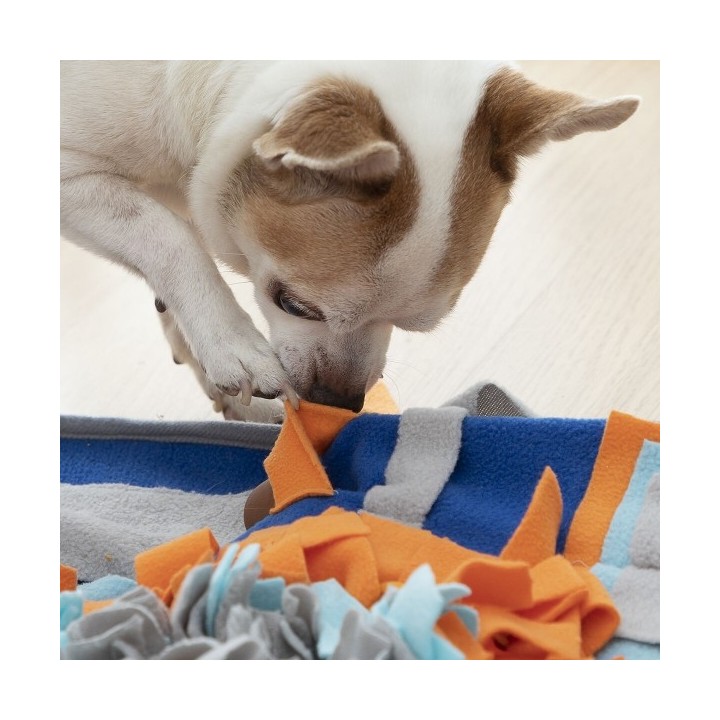 Tapis Olfactif pour Animaux de Compagnie Fooland InnovaGoods