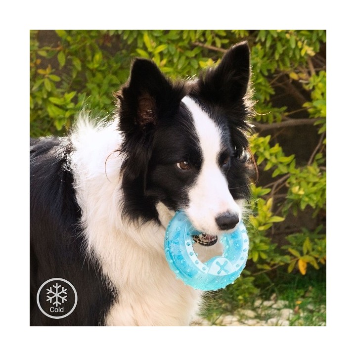 Jouet à Mordre 2 en 1 Congelable pour Animaux de Compagnie Glubiz InnovaGoods