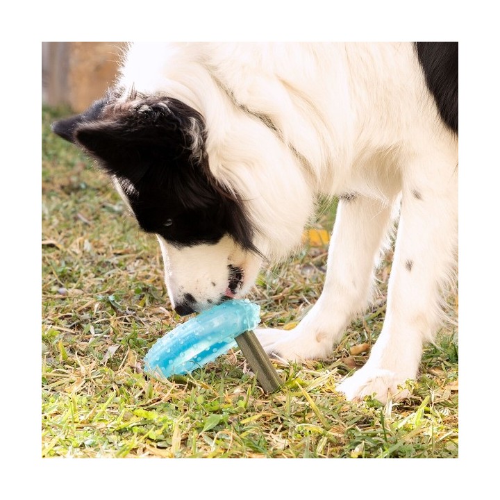 Jouet à Mordre 2 en 1 Congelable pour Animaux de Compagnie Glubiz InnovaGoods