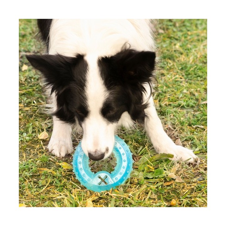 Jouet à Mordre 2 en 1 Congelable pour Animaux de Compagnie Glubiz InnovaGoods