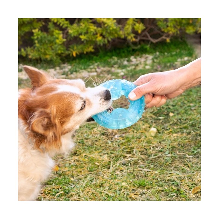 Jouet à Mordre 2 en 1 Congelable pour Animaux de Compagnie Glubiz InnovaGoods