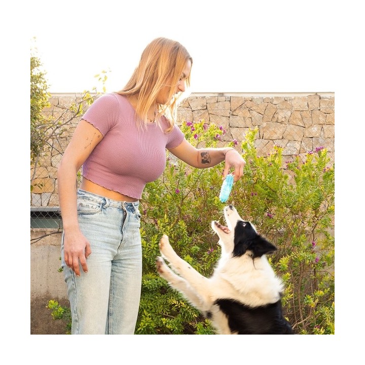 Jouet à Mordre 2 en 1 Congelable pour Animaux de Compagnie Glubiz InnovaGoods