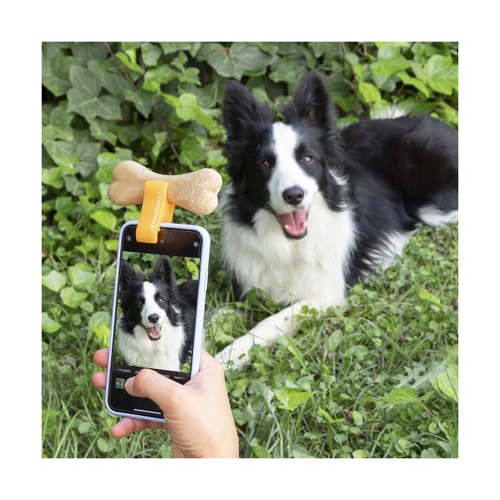 Clip pour Selfies pour Animaux Familiers Pefie InnovaGoods