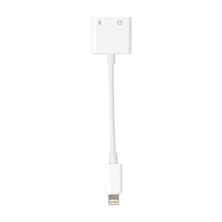 ADAPATEUR EDENWOOD LIGHTNING ET JACK UNIVERSEL