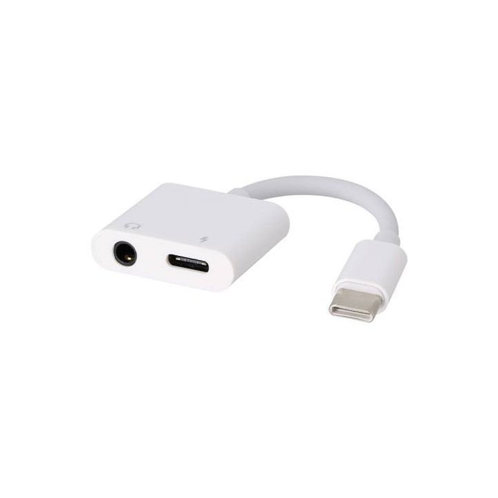 ADAPTATEUR EDENWOOD USB  C ET JACK